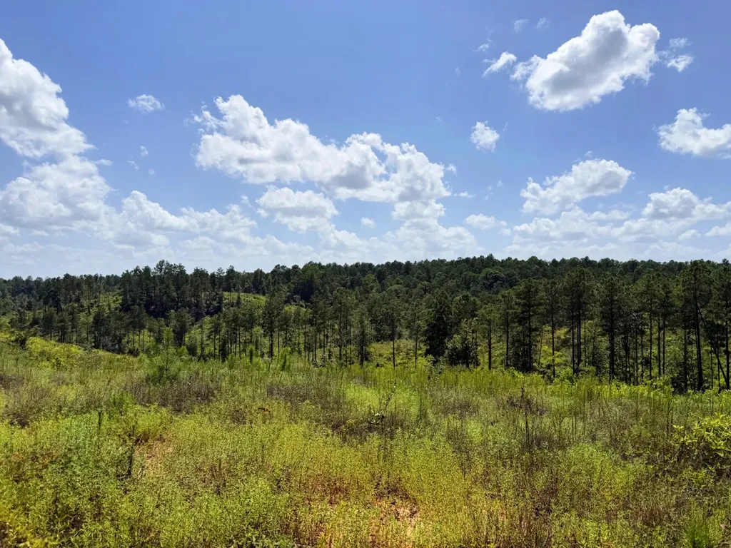 0 Boggs Road Toxey AL 36921