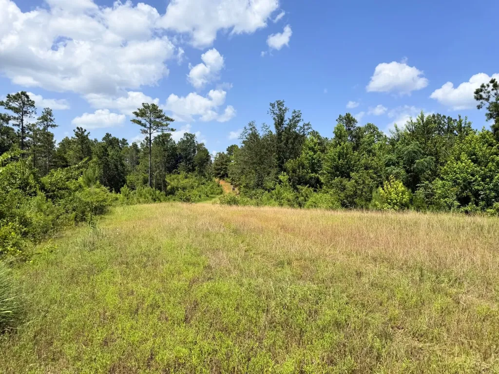 0 Boggs Road Toxey AL 36921
