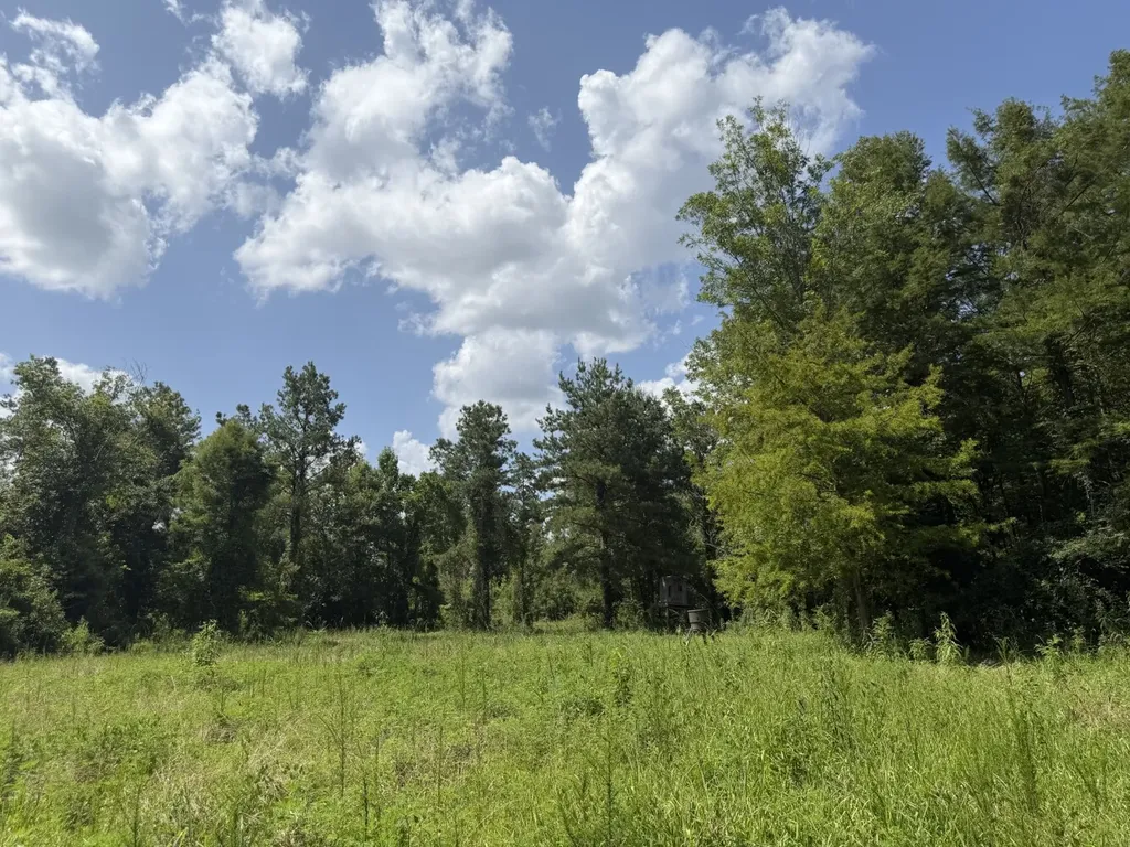 0 Boggs Road Toxey AL 36921