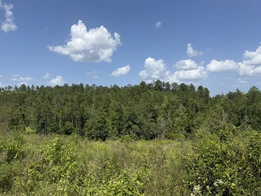 0 Boggs Road Toxey AL 36921