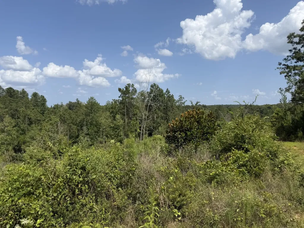 0 Boggs Road Toxey AL 36921