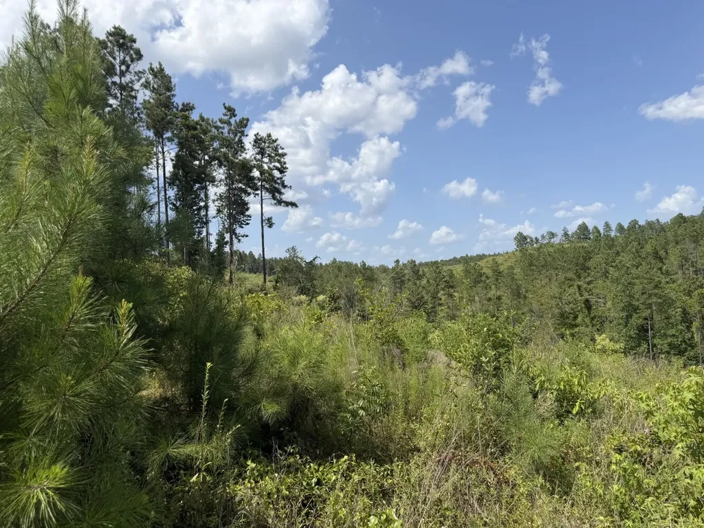 0 Boggs Road Toxey AL 36921