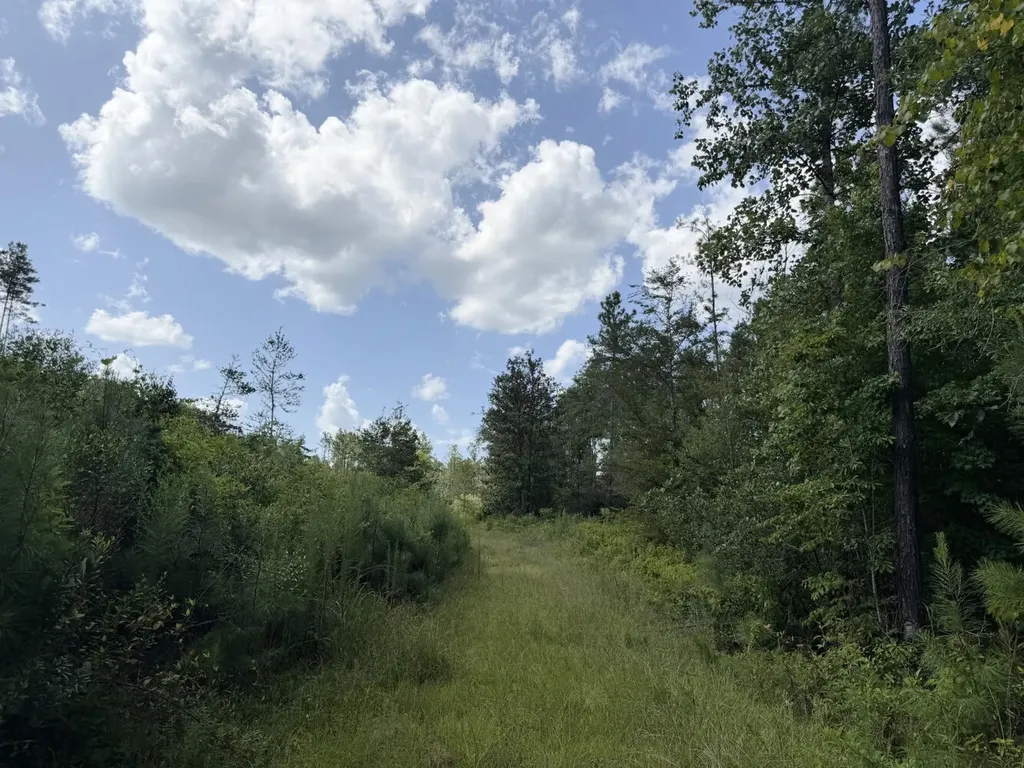 0 Boggs Road Toxey AL 36921