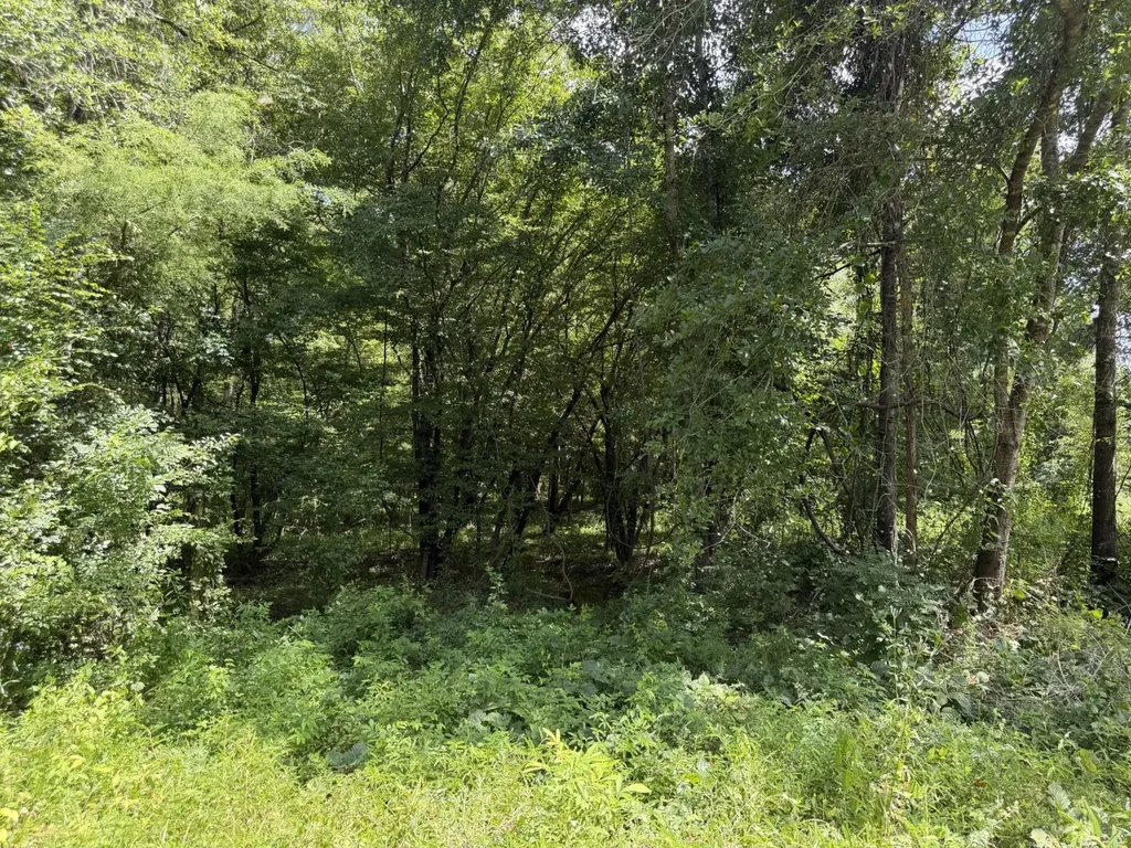0 Boggs Road Toxey AL 36921