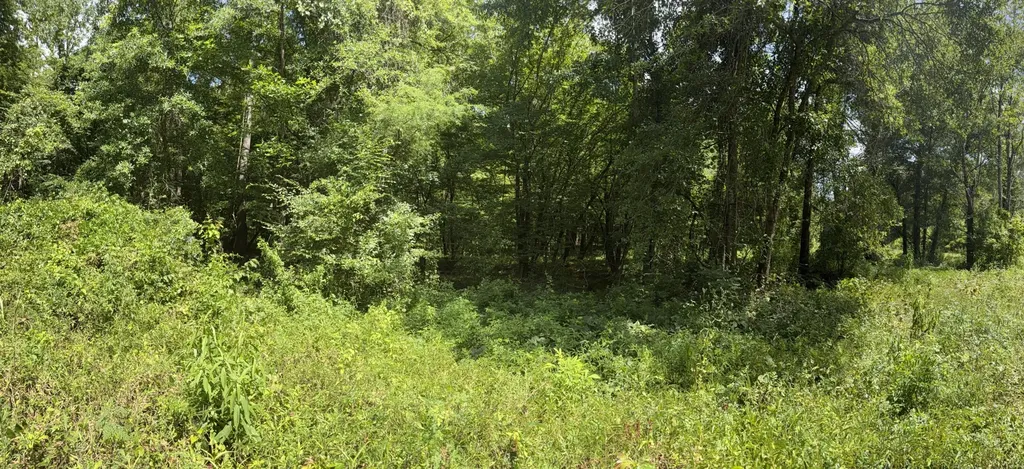 0 Boggs Road Toxey AL 36921