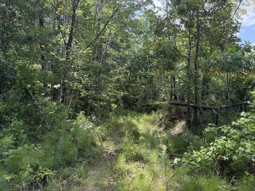 0 Boggs Road Toxey AL 36921