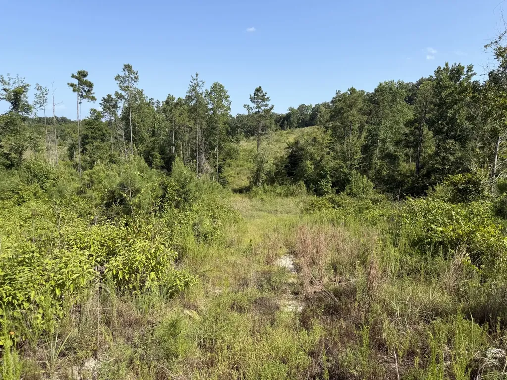 0 Boggs Road Toxey AL 36921
