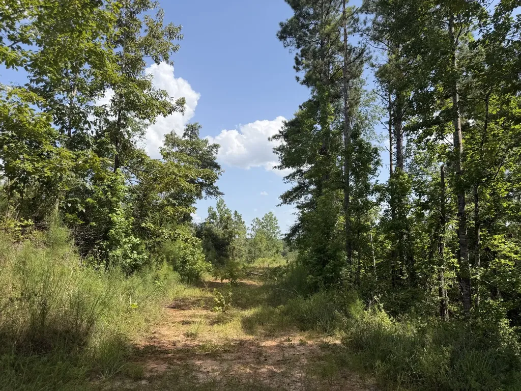 0 Boggs Road Toxey AL 36921