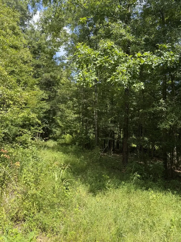 0 Boggs Road Toxey AL 36921