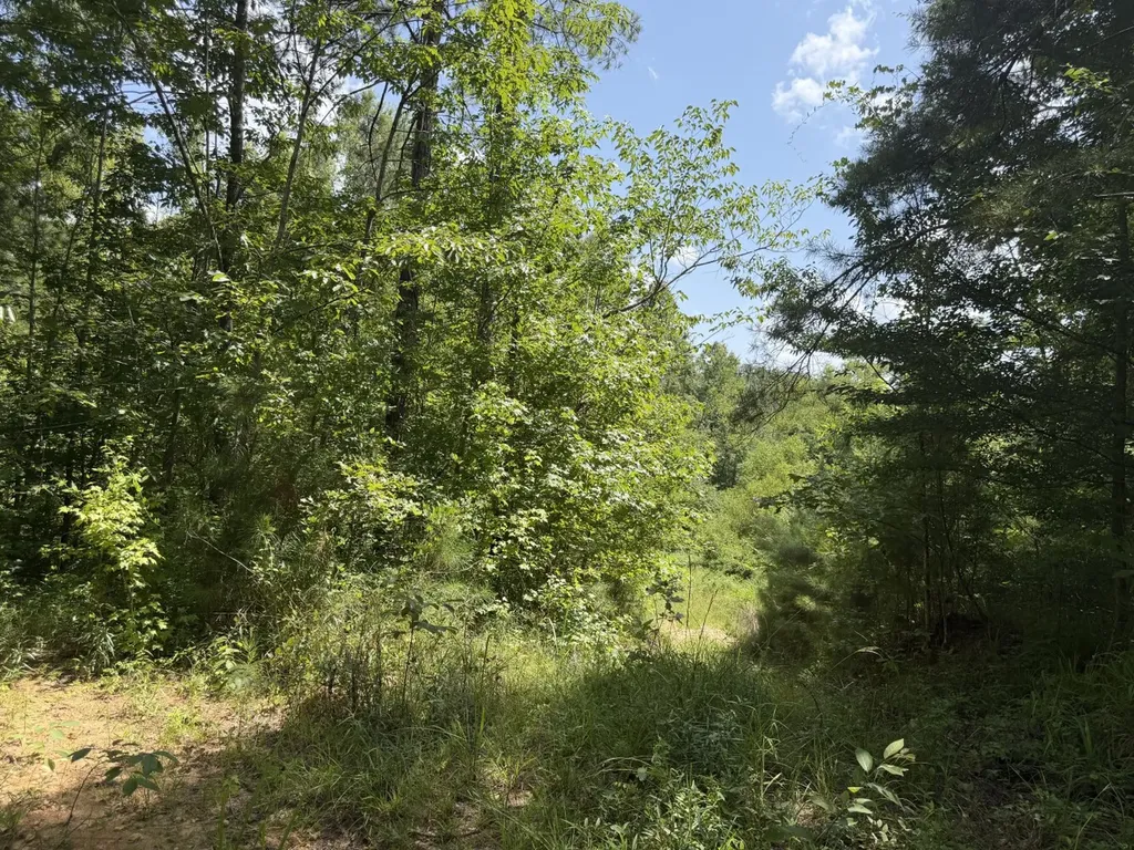 0 Boggs Road Toxey AL 36921
