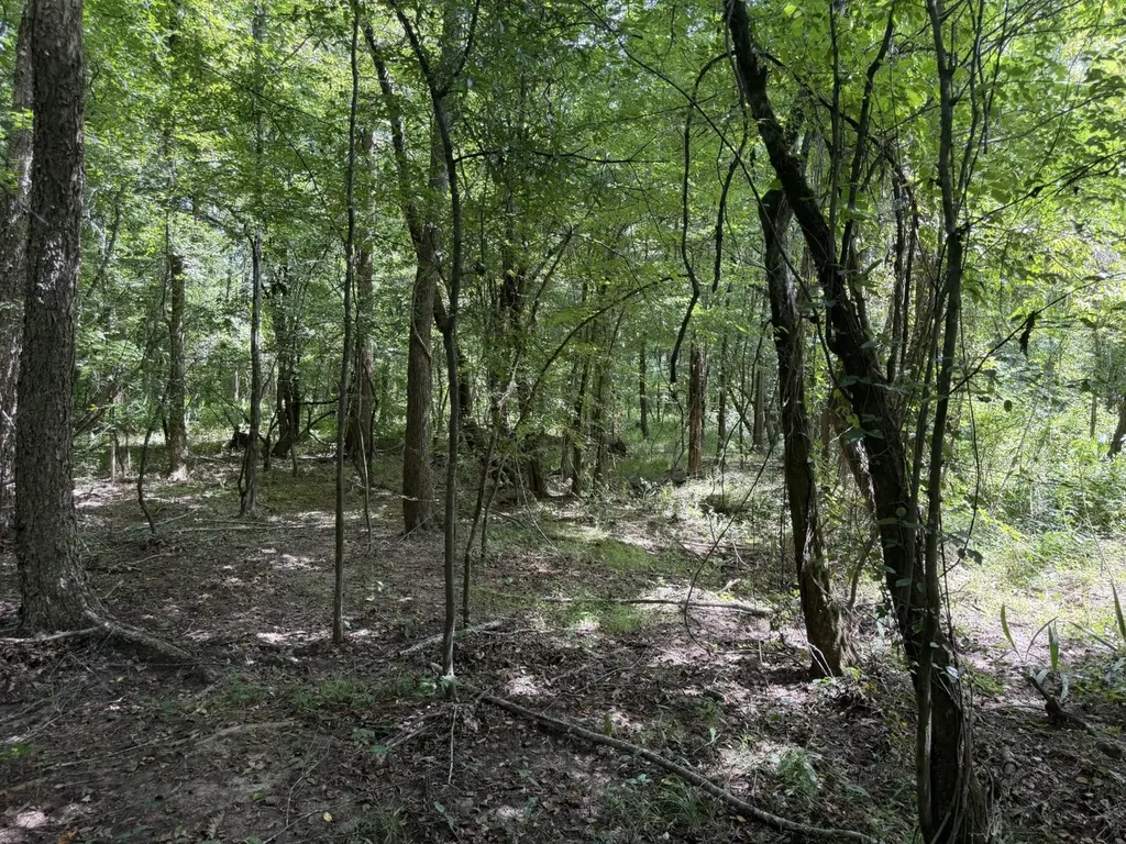 0 Boggs Road Toxey AL 36921