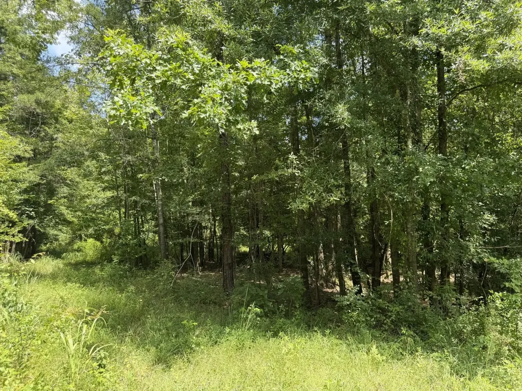 0 Boggs Road Toxey AL 36921