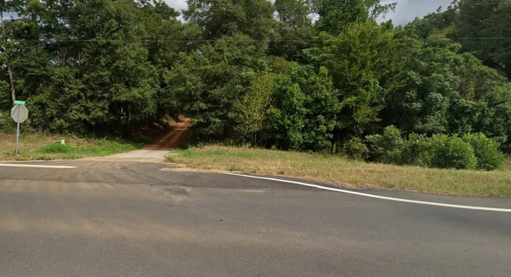 0 Grubbs Road Shorterville AL 36373