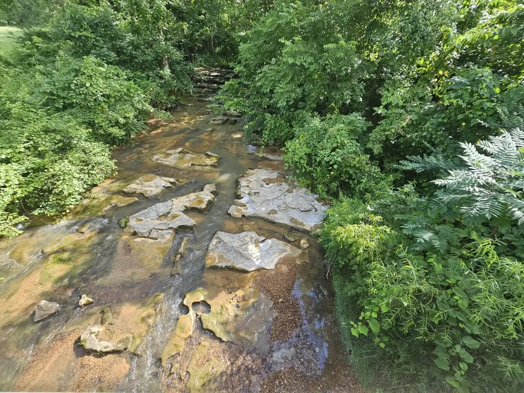 000Z County Road 524 Russellville AL 35653