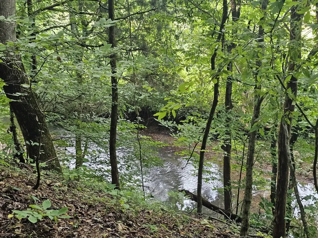 000Z County Road 524 Russellville AL 35653