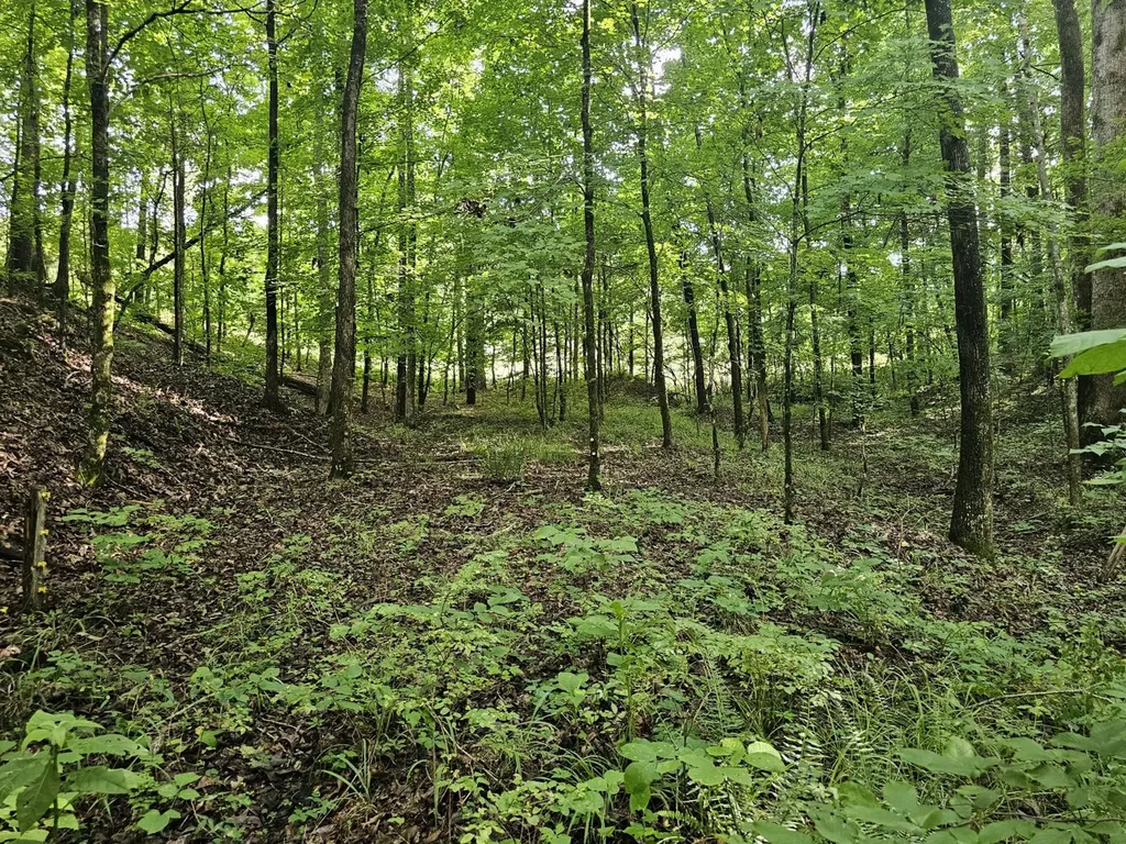000Z County Road 524 Russellville AL 35653