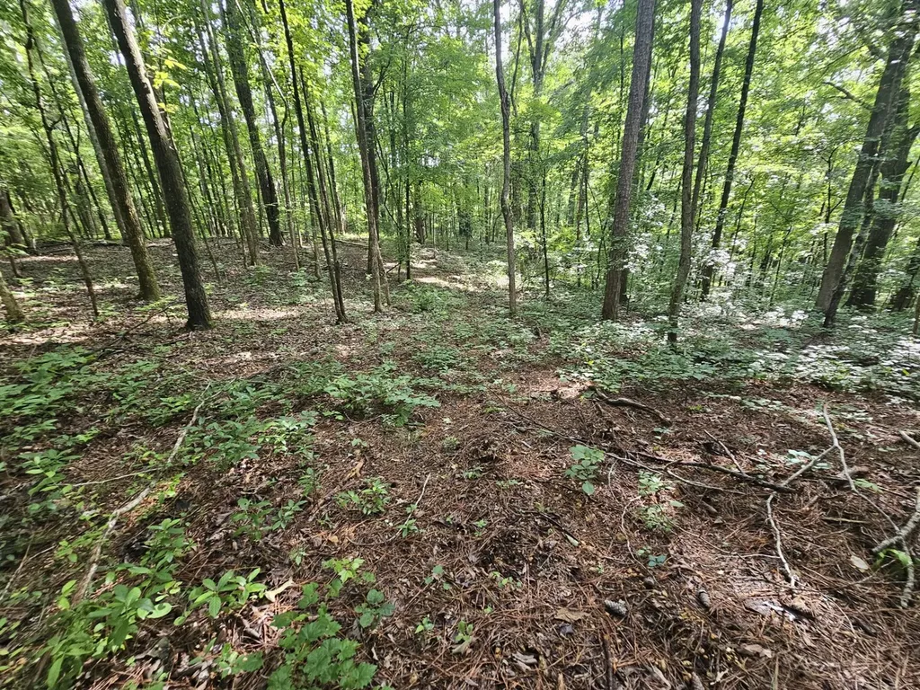 000Z County Road 524 Russellville AL 35653