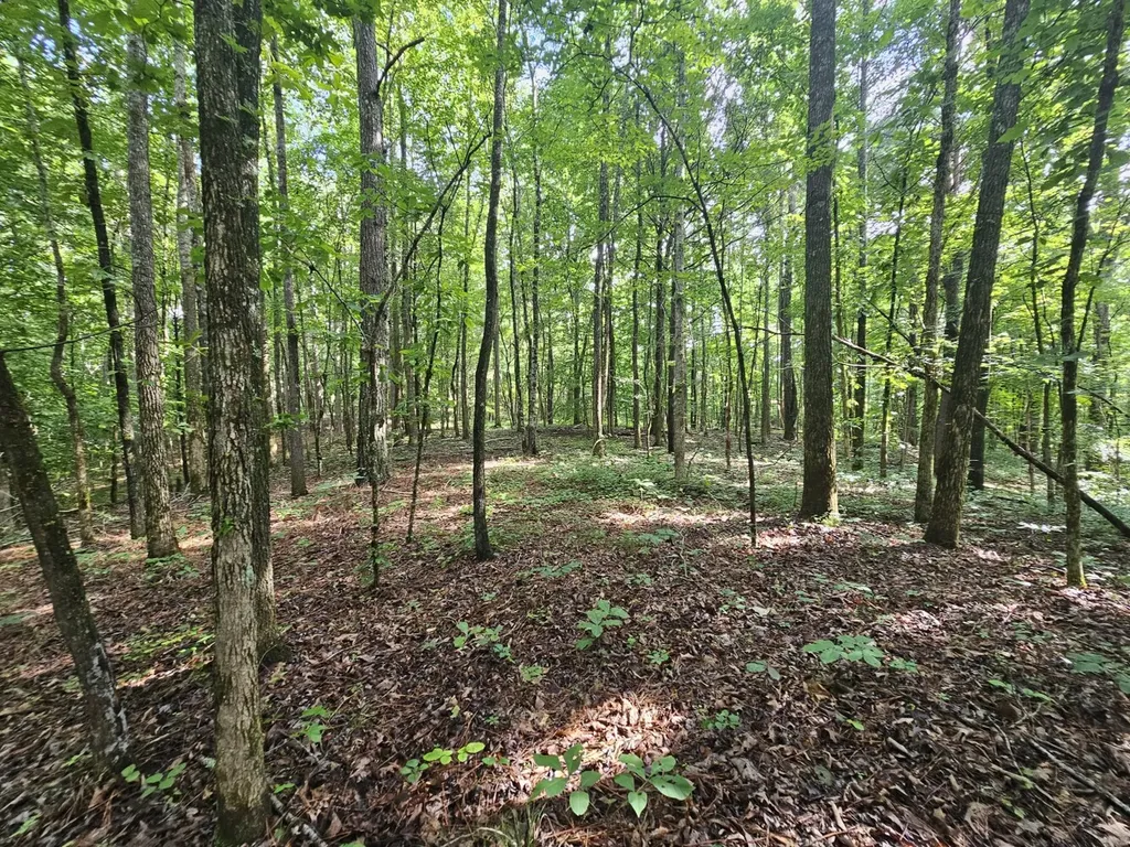 000Z County Road 524 Russellville AL 35653