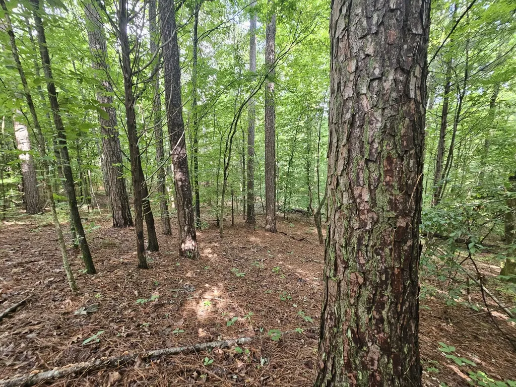 000Z County Road 524 Russellville AL 35653