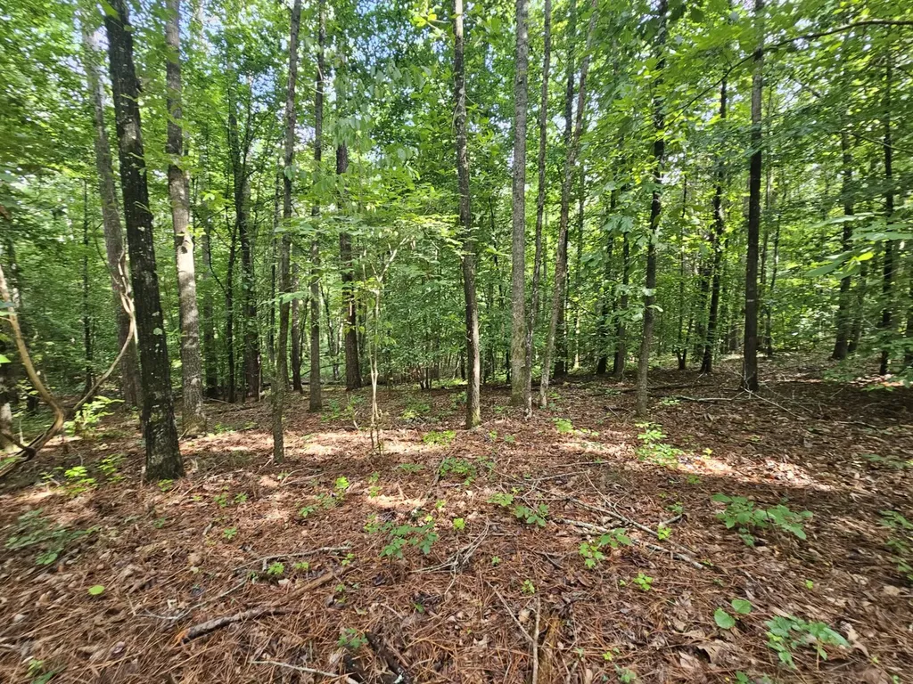 000Z County Road 524 Russellville AL 35653
