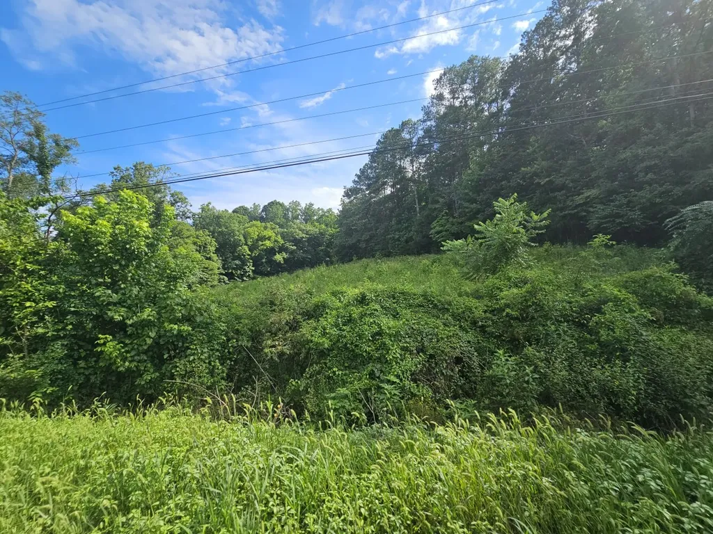 000Z County Road 524 Russellville AL 35653