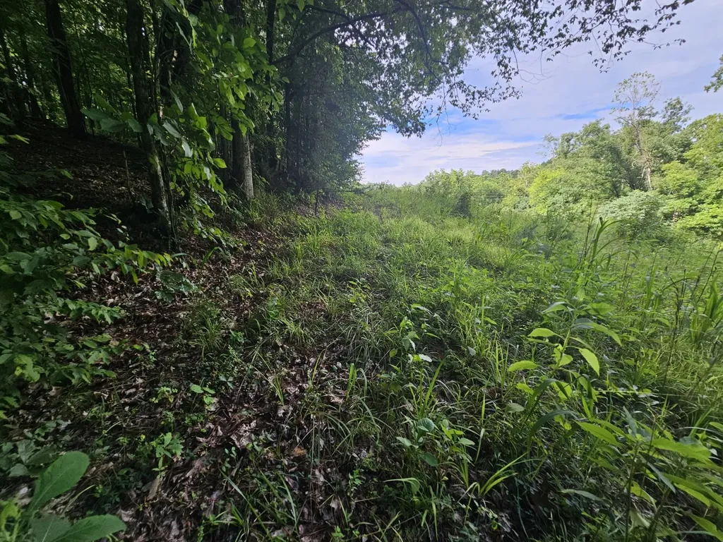 000Z County Road 524 Russellville AL 35653