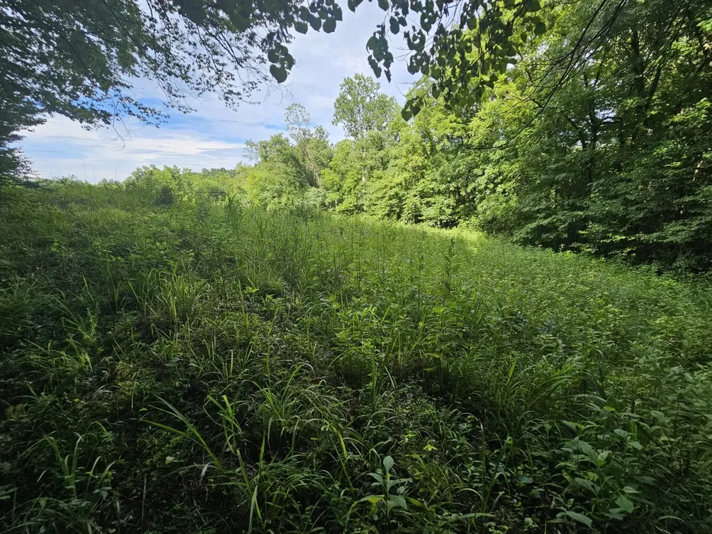 000Z County Road 524 Russellville AL 35653