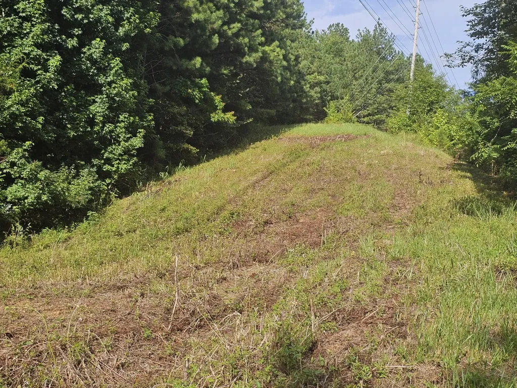 000Z County Road 524 Russellville AL 35653