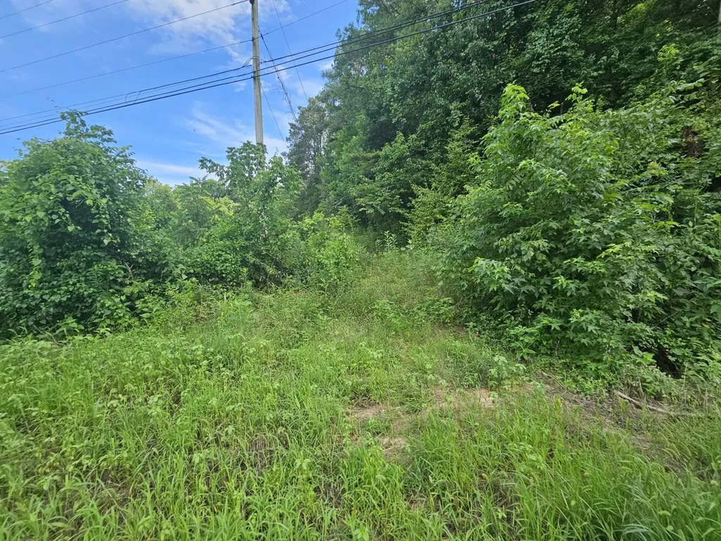 000Z County Road 524 Russellville AL 35653