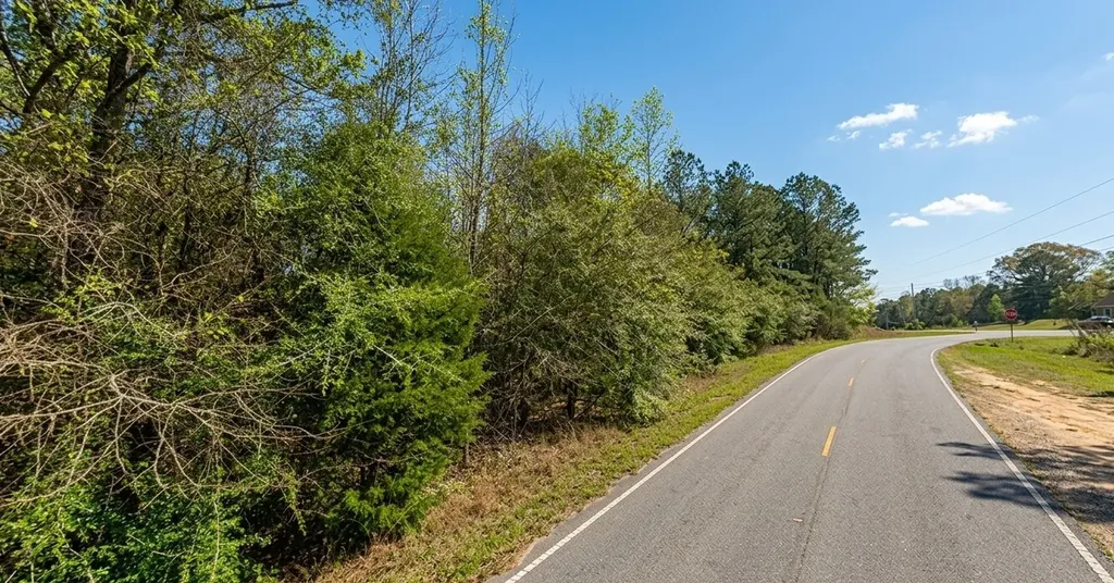 0 Old Franklin Road Tuskegee AL 36083