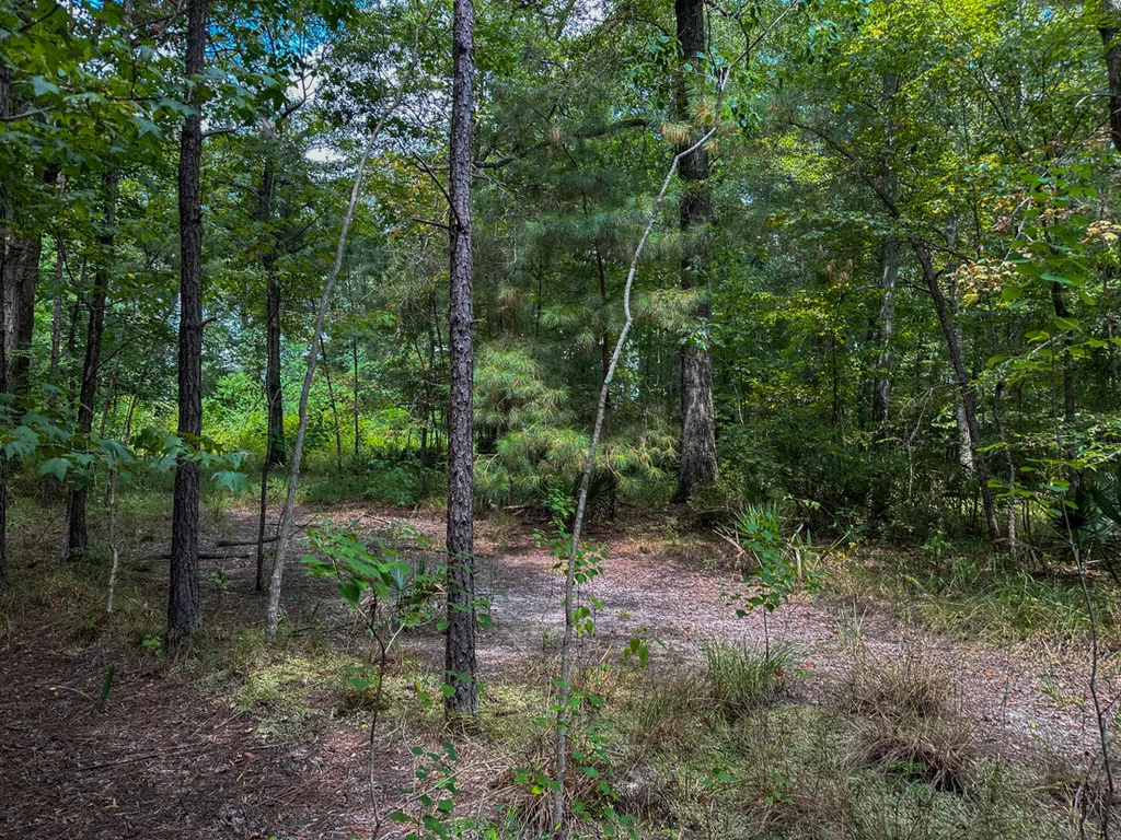 0 Troy Highway 231 Montgomery AL 36166