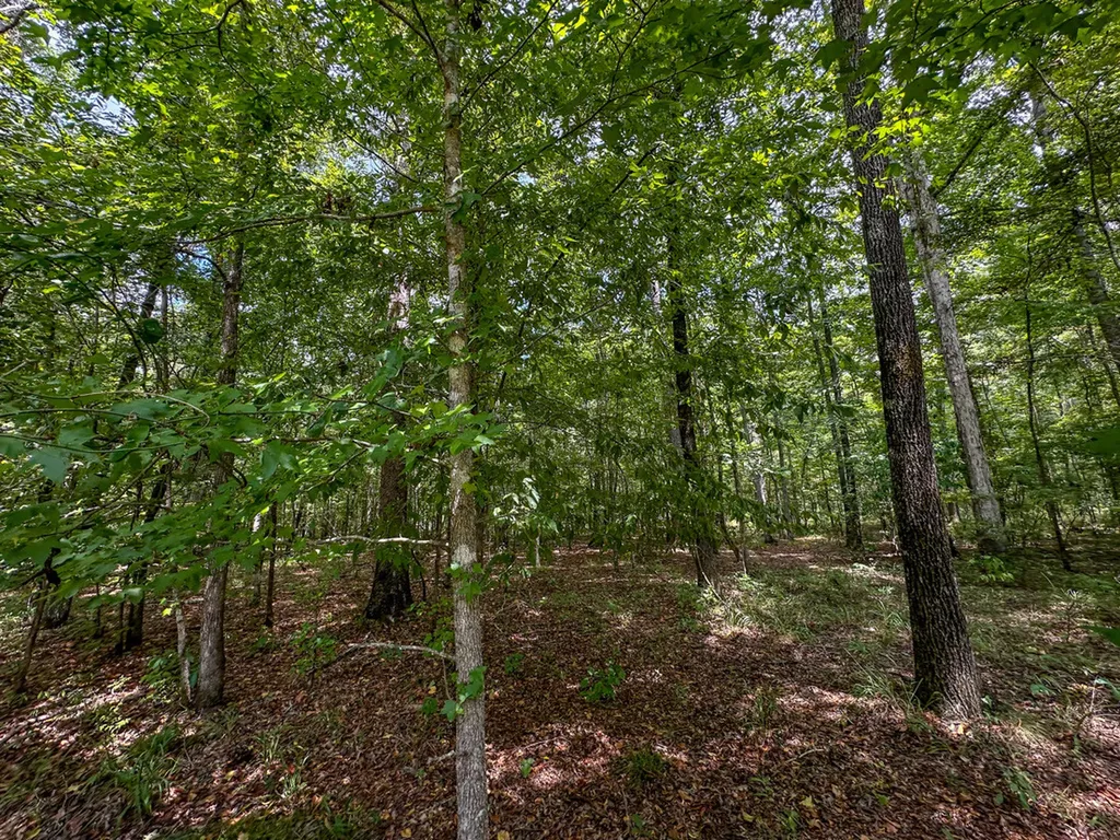 0 Troy Highway 231 Montgomery AL 36166
