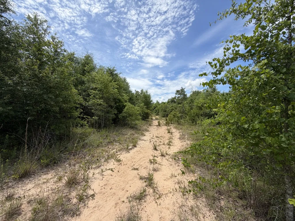 0 Highway 124 Enterprise AL 36330