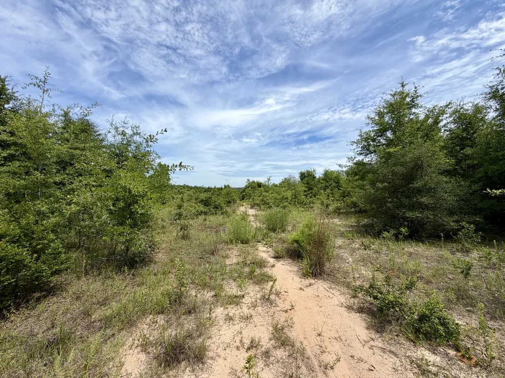 0 Highway 124 Enterprise AL 36330