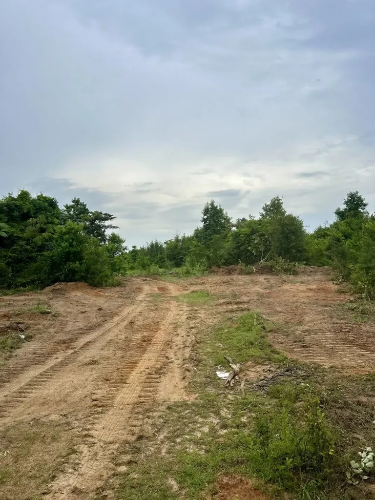 0 Highway 124 Enterprise AL 36330