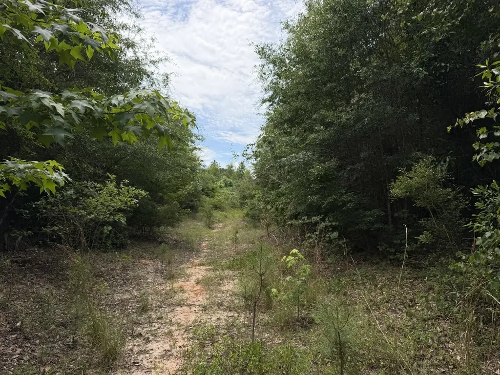 0 Highway 124 Enterprise AL 36330
