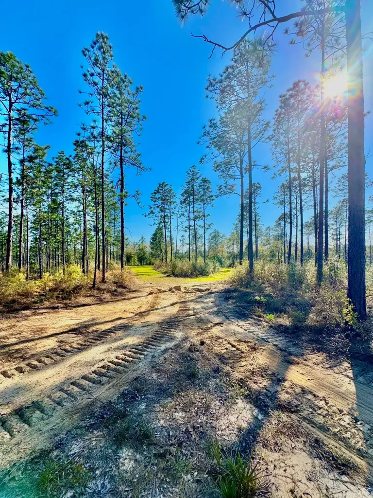 0 Hubert Morris Road Wilmer AL 36587