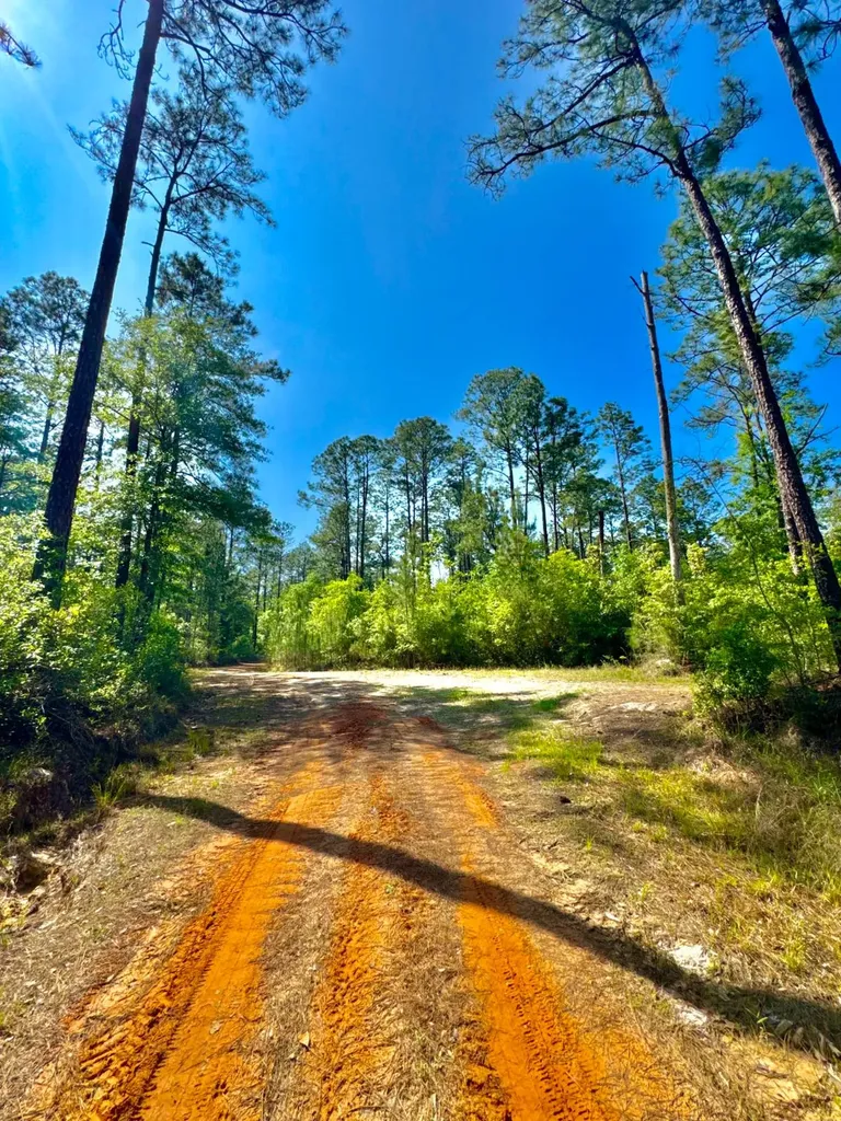 0 Hubert Morris Road Wilmer AL 36587