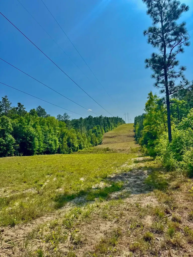 0 Hubert Morris Road Wilmer AL 36587