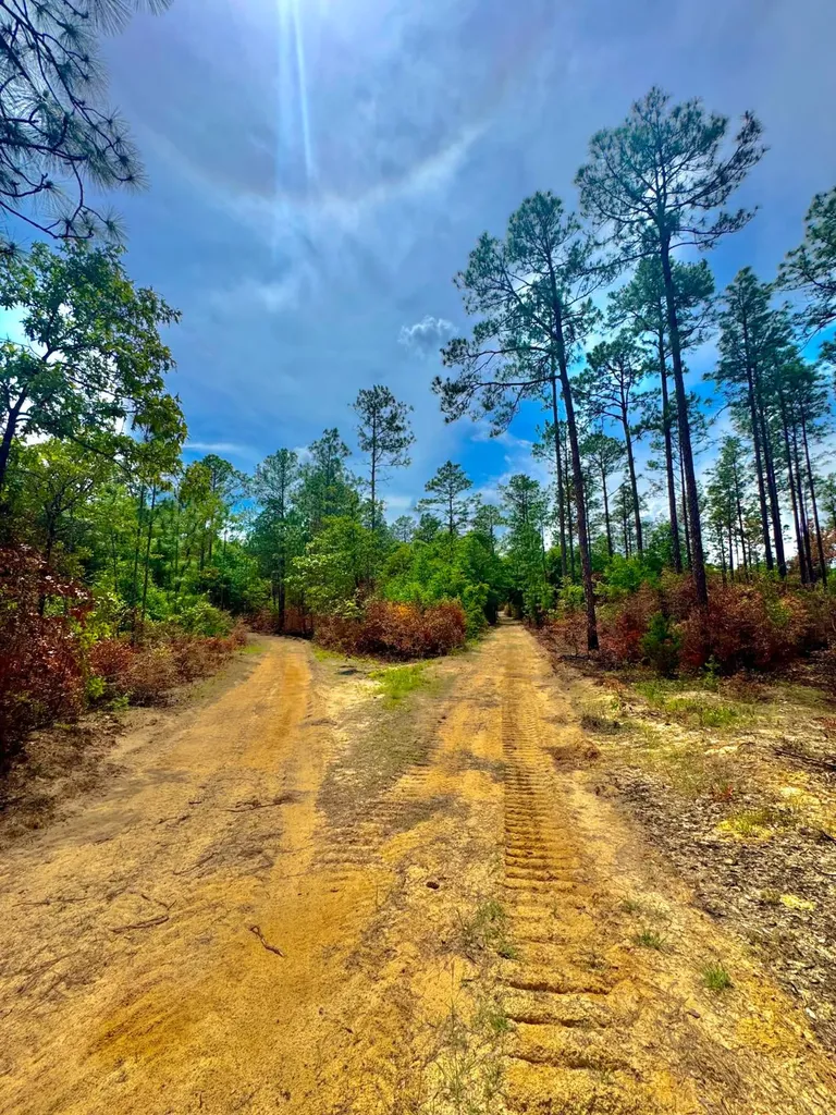 0 Hubert Morris Road Wilmer AL 36587