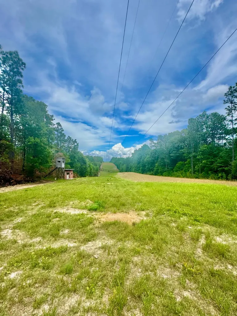 0 Hubert Morris Road Wilmer AL 36587
