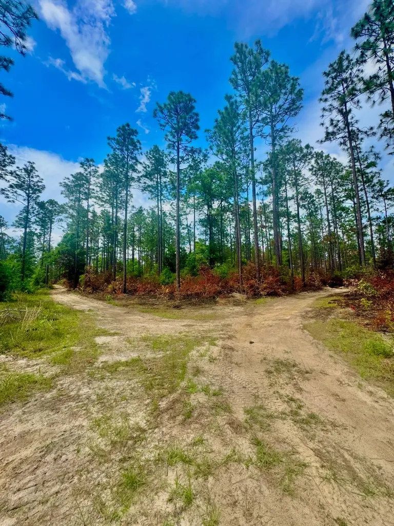 0 Hubert Morris Road Wilmer AL 36587