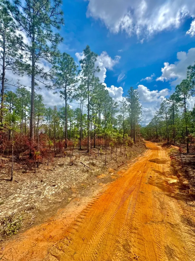 0 Hubert Morris Road Wilmer AL 36587