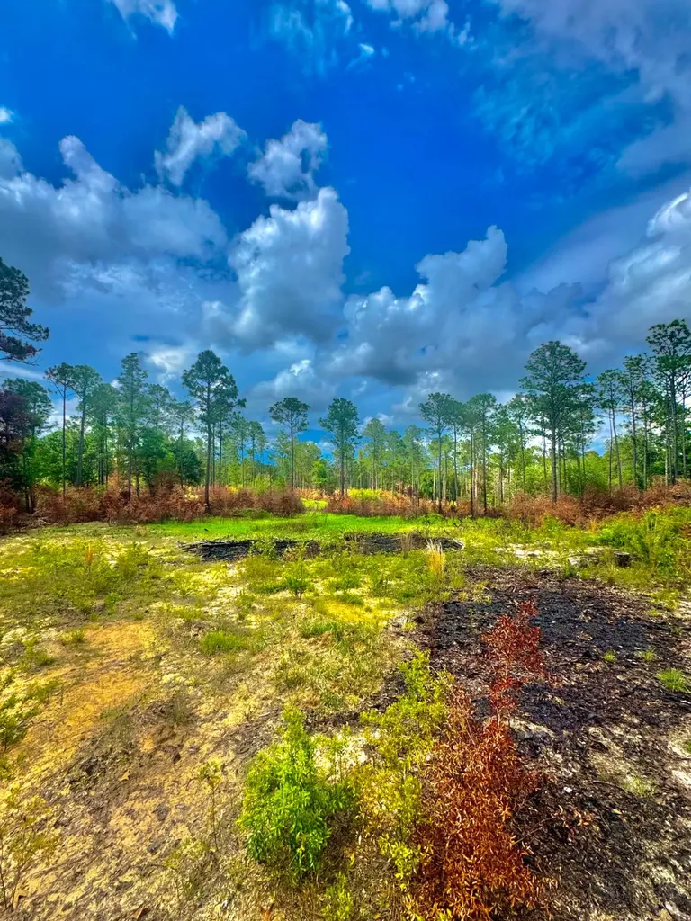 0 Hubert Morris Road Wilmer AL 36587