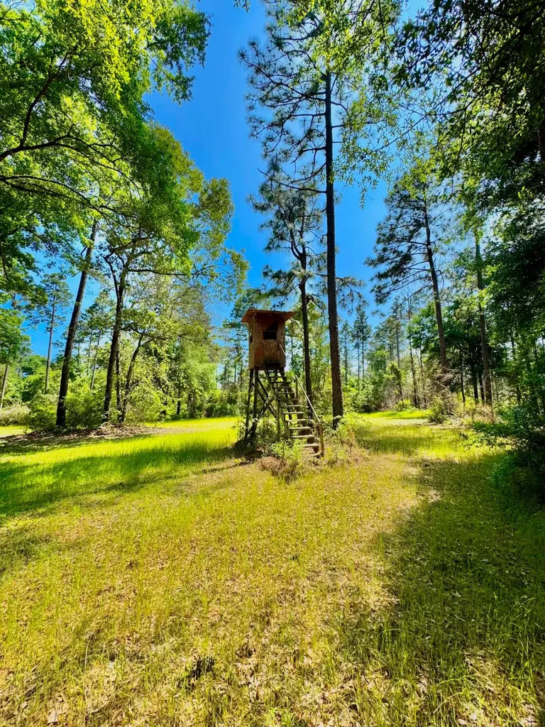 0 Hubert Morris Road Wilmer AL 36587