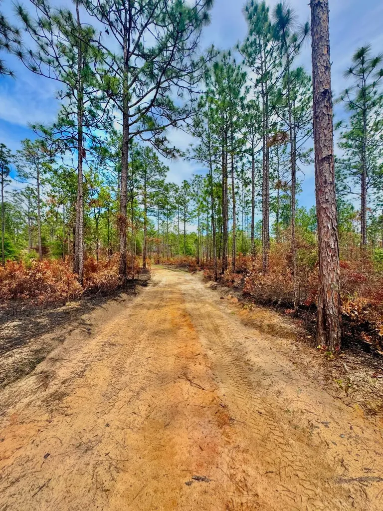 0 Hubert Morris Road Wilmer AL 36587
