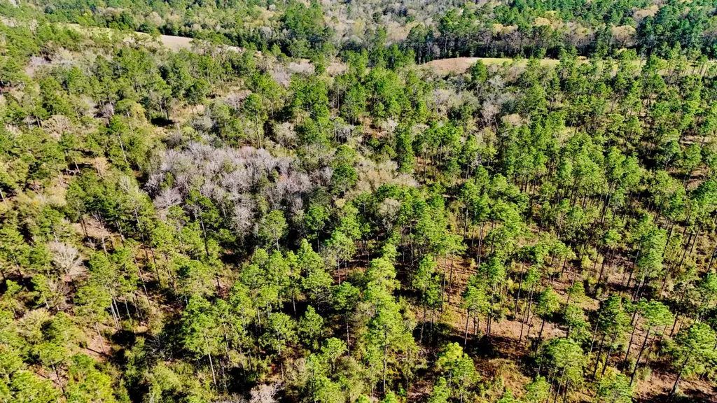 0 Hubert Morris Road Wilmer AL 36587