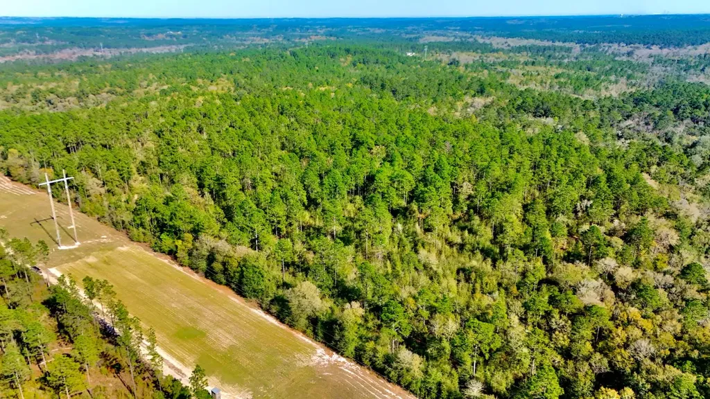 0 Hubert Morris Road Wilmer AL 36587