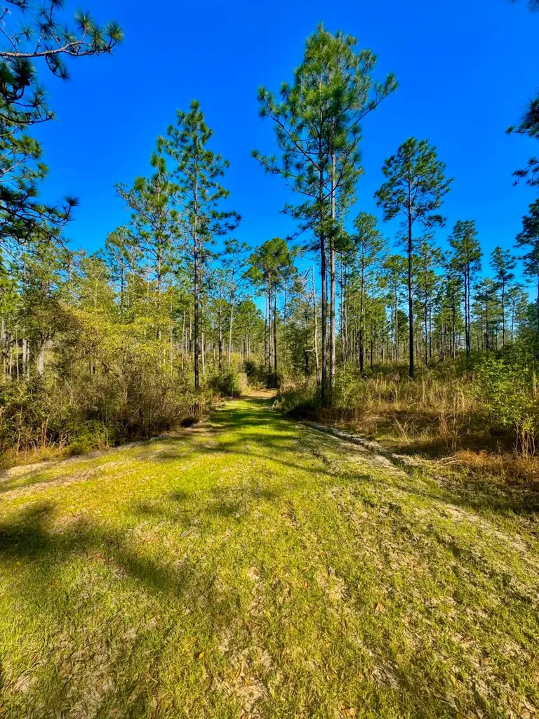 0 Hubert Morris Road Wilmer AL 36587