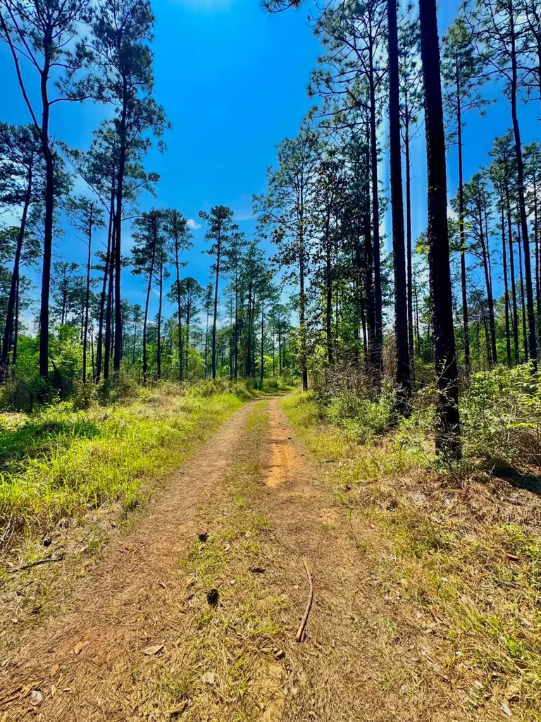 0 Hubert Morris Road Wilmer AL 36587
